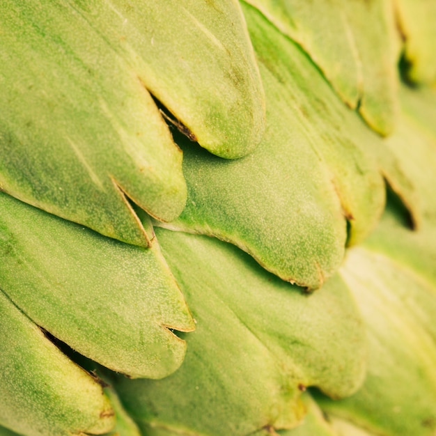 Exploring the Health Perks of Okra Water and a Simple Recipe to Make It
